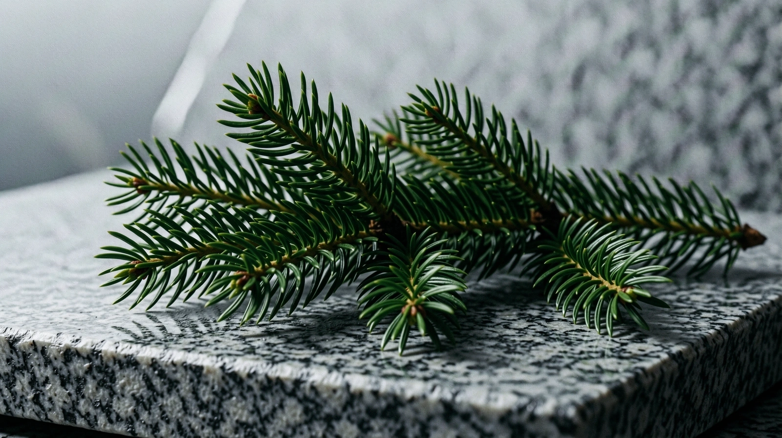 Alpine Botanical Integrity